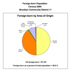 File:Foreign born pie chart bensonhurst.jpg