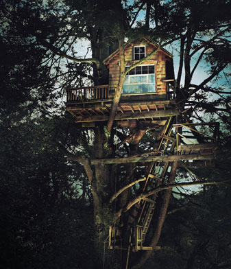 Image:treehouse2.jpg