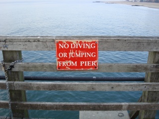 File:No Diving.JPG