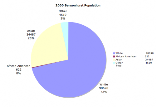 Pie chart of Bensonhurst's population in 2000