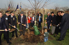 A photograph from the Daily Plant that captures the First Memorial Grove Planting ceremony