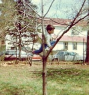 A boy climbing a tree at the field, circa 1970s. Photo credit: E_Journeys on flickr