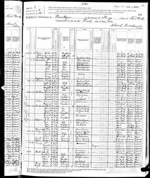 Image:Donnellon 1880 Census.jpg