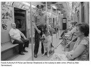 Transit Authority K-9 Police use German Shepherds on the subway to deter crime. Photo credit: Allan Tannenbaum